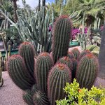 Photo taken by Logan J