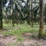 Photo taken by katie u