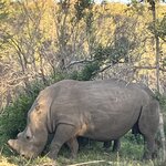 Photo taken by rhonda c