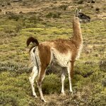 Photo taken by Lisa K