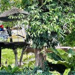 Photo taken by LaTasha J