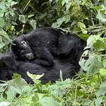 Photo taken by Michael L