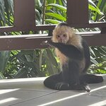 Photo taken by Hannah S