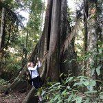 Amazon jungle tree is for hanging | Photo taken by Elisa M