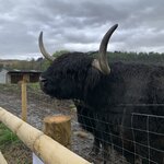 Photo taken by Lynn K