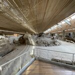 Photo taken by Anita N