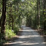 Photo taken by Debra Z