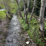 Photo taken by Sylvia S