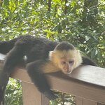 Photo taken by Hannah S