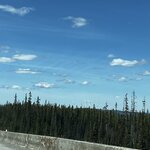 Photo taken by Fernanda S