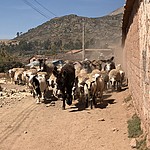 Photo taken by Kristen K