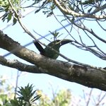 Photo taken by Joyce C