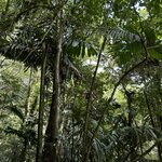 Photo taken by christy l