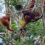 Photo taken by Sabiha K