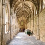 Photo taken by Laura R