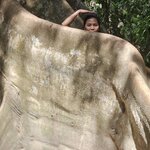 Photo taken by Touraj K