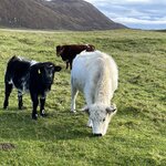 Photo taken by Danielle P