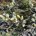 Photo taken by Amy W