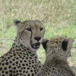 Photo taken by Kristin M