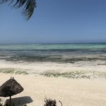 Photo taken by Kristin M