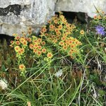 Photo taken by Seth D