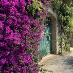 Photo taken by Carla W