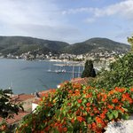 Photo taken by Shawn G