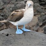 Photo taken by Barb M