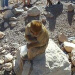 Photo taken by WILLIAM B