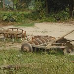 Photo taken by Arpita D