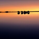 Photo taken by Mai S