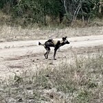 Photo taken by rhonda c