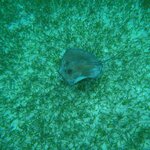 Photo taken by LaTasha J