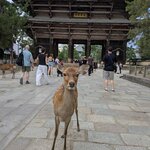 Photo taken by Joy W