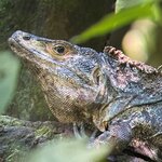 Photo taken by Erna P