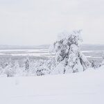 Photo taken by Raylene C