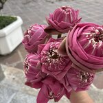 Photo taken by Steph V