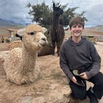 Photo taken by tamar e