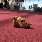 Photo taken by Evelyn K