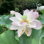 Photo taken by Deborah C