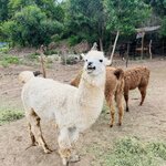 Photo taken by Manon G