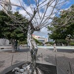 Photo taken by Dan C