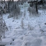 Photo taken by Jennifer D