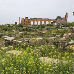 Photo taken by Brenda J