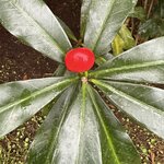 Photo taken by Carrie N