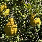 Photo taken by Martha D