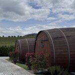 Photo taken by Alyson P