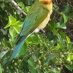 Photo taken by Tanya G