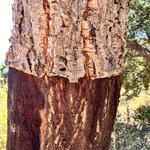 Photo taken by Michelle L