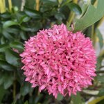 Photo taken by Aaron H